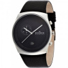 Skagen Leather SKW6070