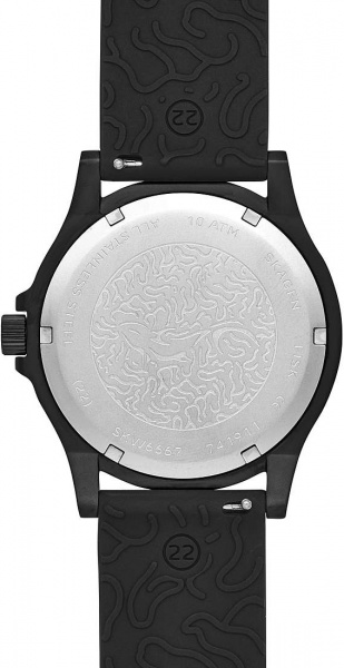 Skagen Fisk SKW6667