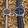 Fossil The Minimalist FS5554