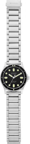 Skagen Fisk SKW6666
