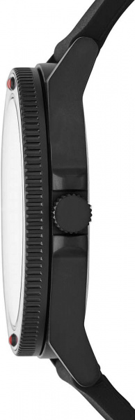 Skagen Fisk SKW6667