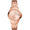 Fossil FB-01 ES4748