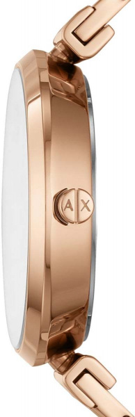 Armani Exchange Zoe AX5901
