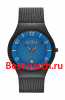 Skagen Mesh SKW6147
