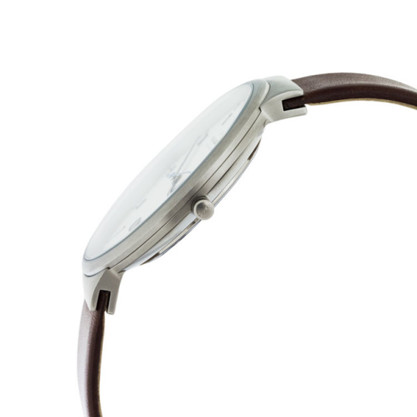 Skagen Leather SKW6082