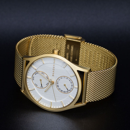 Skagen Mesh SKW6173