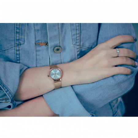 Skagen Mesh SKW2665