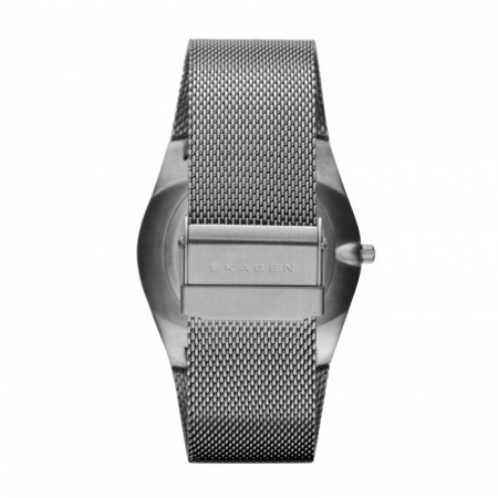 Skagen Mesh SKW6007