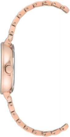 Anne Klein Crystal 3416BYRG