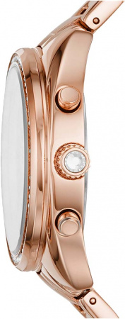 Fossil Vale BQ3659