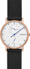 Skagen Signatur SKW6390