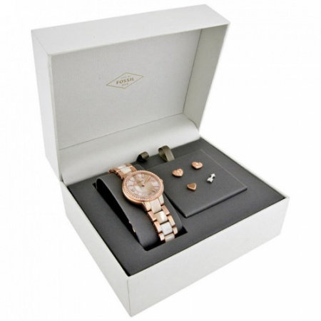 Fossil  ES3965SET