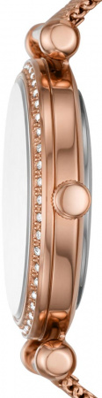 Fossil Tillie BQ3648
