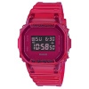 Casio G-Shock DW-5600SB-4E