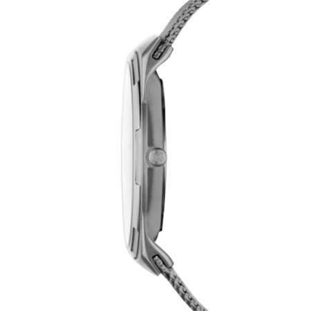 Skagen Mesh SKW6007