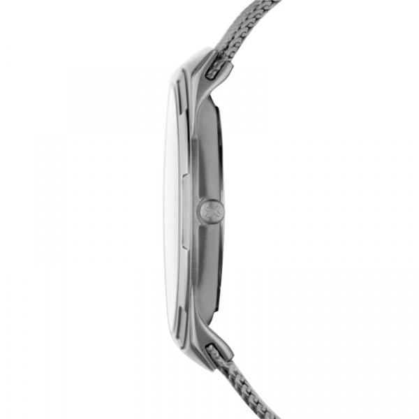 Skagen Mesh SKW6007
