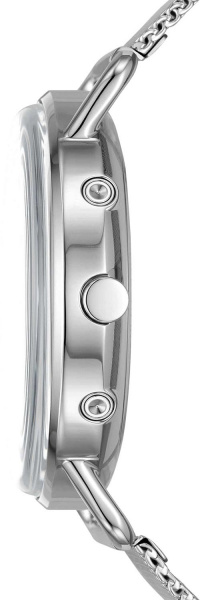 Skagen Mesh SKW6690