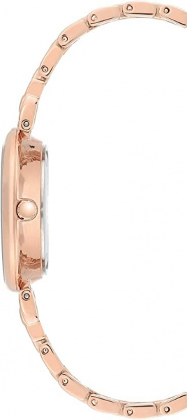 Anne Klein Daily 3630MPRG