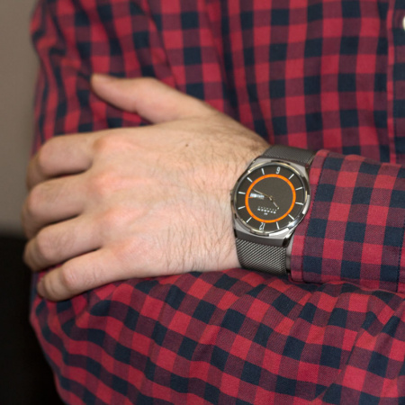 Skagen Mesh SKW6007