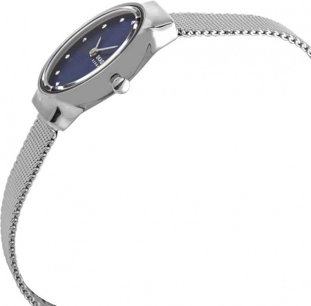 Skagen Mesh SKW2920