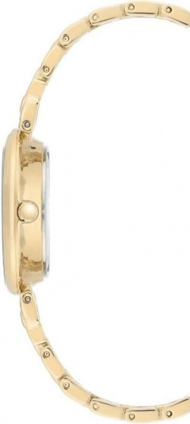 Anne Klein Daily 3630MPGB