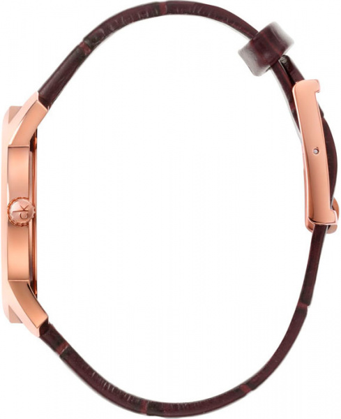 Calvin Klein City K2G226G6