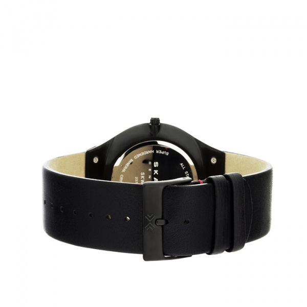 Skagen Leather SKW6113