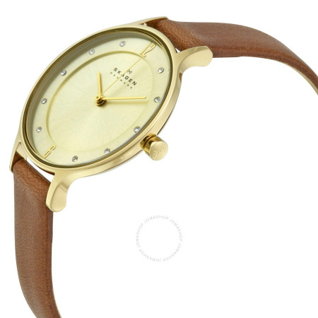 Skagen Leather SKW2147
