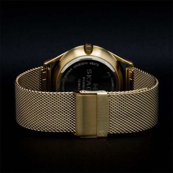 Skagen Mesh SKW6173