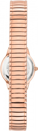 Anne Klein Daily 3800PMRG