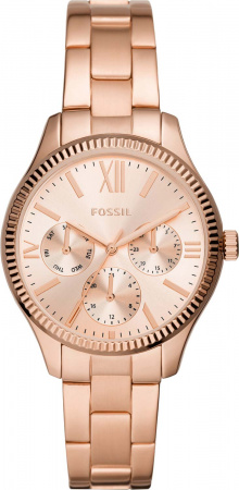 Fossil Rye BQ3691