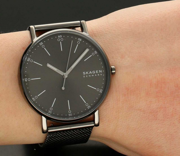 Skagen Mesh SKW6577
