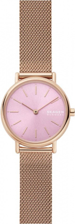 Skagen Mesh SKW2975