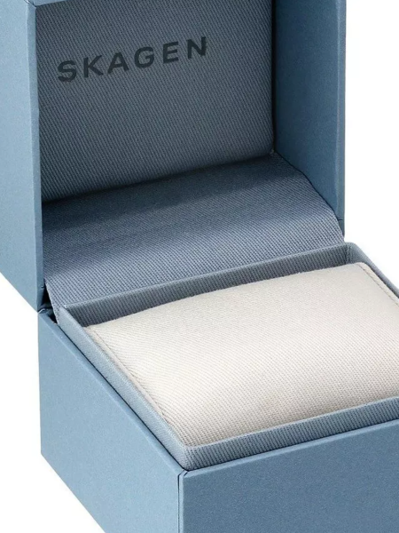 Skagen  SKW6412