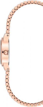 Anne Klein Daily 3800PMRG