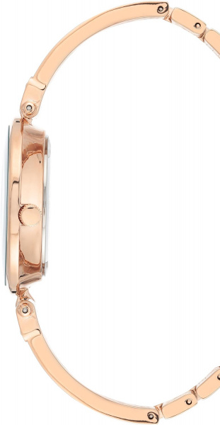 Anne Klein Diamond 2512TERG