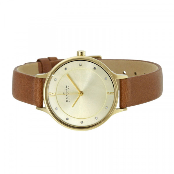 Skagen Leather SKW2147