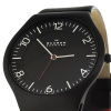 Skagen Leather SKW6113